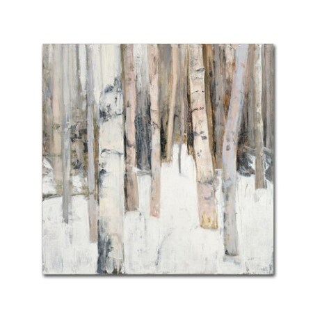 Trademark Fine Art Julia Purinton 'Warm Winter Light I' Canvas Art, 18x18 WAP01144-C1818GG